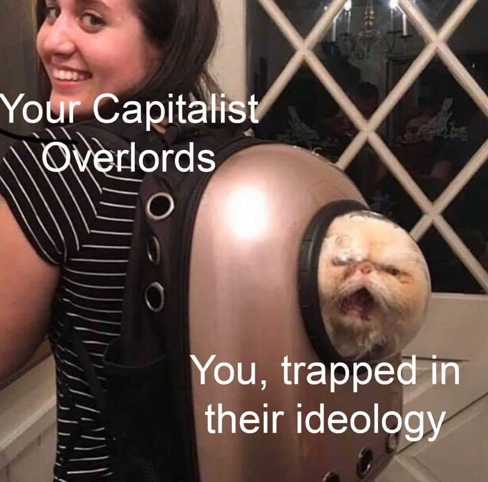 This meme is a humorous image of a woman holding a cat in a backpack, with the cat's head sticking out of a hole. The text on the image reads: "You, a capitalist" and "Your capitalist overlords". The image is meant to be ironic, implying that the woman is being held captive by her capitalist bosses, but is also somehow managing to keep a rebellious cat in her backpack.